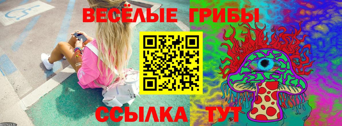 Псилоцибиновые грибы Magic Shrooms  Вход с VPN  Ртищево  Псилоцибиновые грибы Magic Shrooms 
