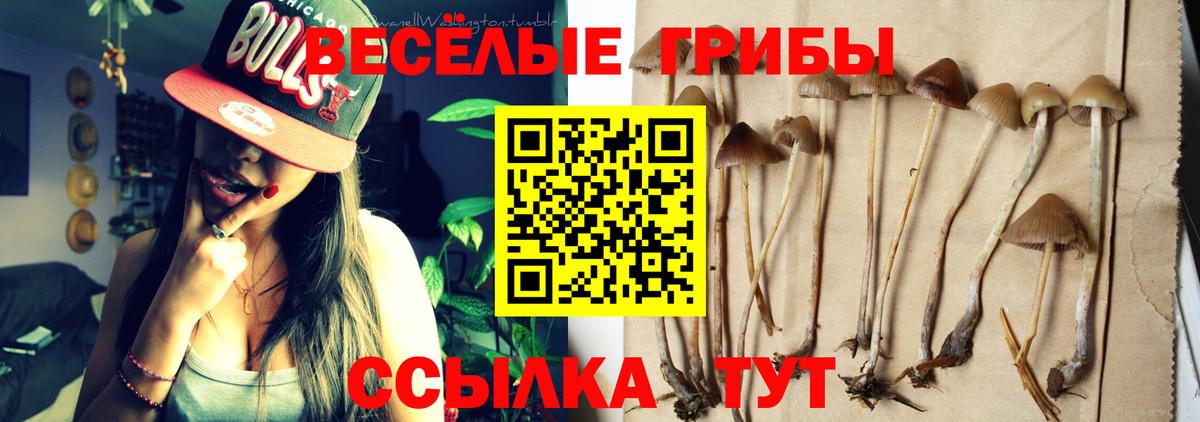 Псилоцибиновые грибы ЛСД Ртищево