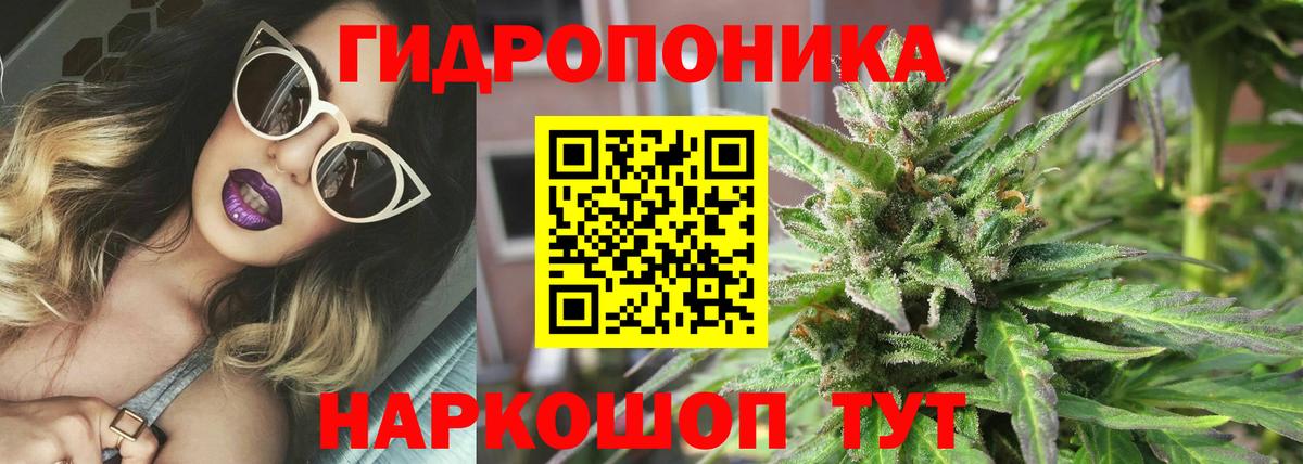Канабис конопля Ртищево